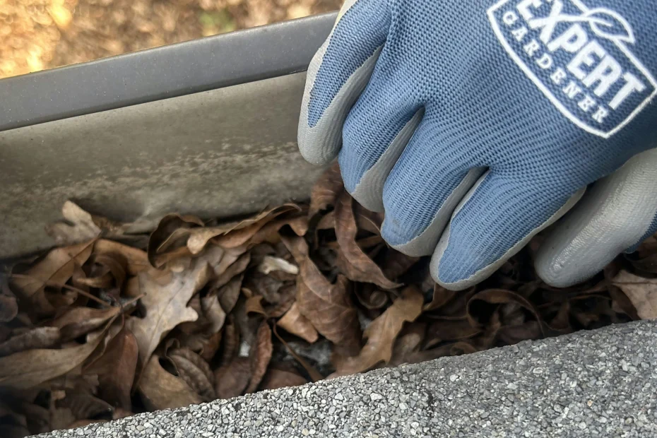 Amityville Gutter Cleaning