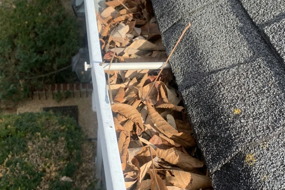 Amityville Gutter Cleaning
